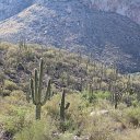 arizona from kells camera - IMG_3004